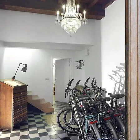 Alphabed & Bike