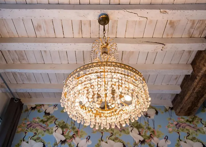 Alphabed & Bike Guest house Ghent